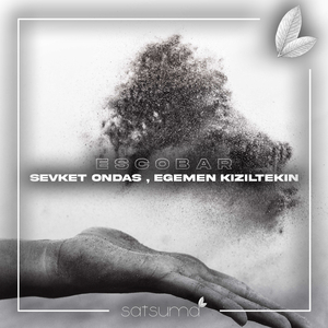 礼堂光拍过黄片儿吗
